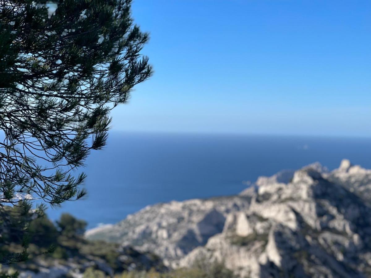 Ravissant Studio En Plein Centre De Marseille Eksteriør billede