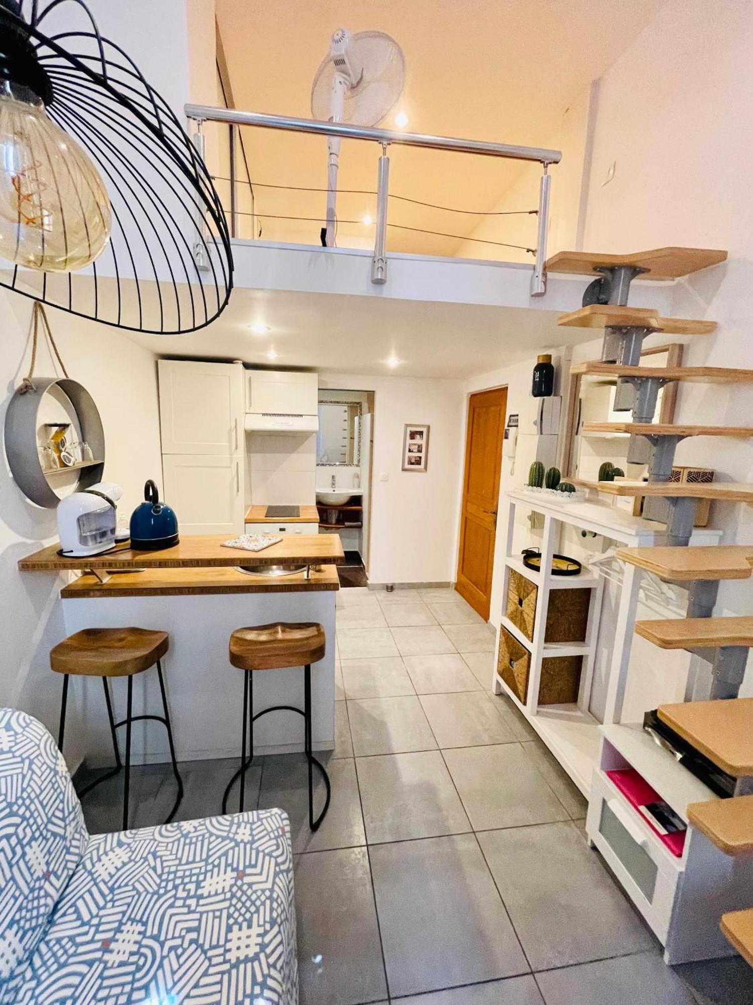 Ravissant Studio En Plein Centre De Marseille Eksteriør billede